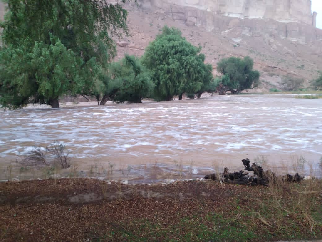 “مياه السيول” تقتل سبعة أشخاص وتقطع طرقات رئيسية جنوبي البلاد (تقرير)