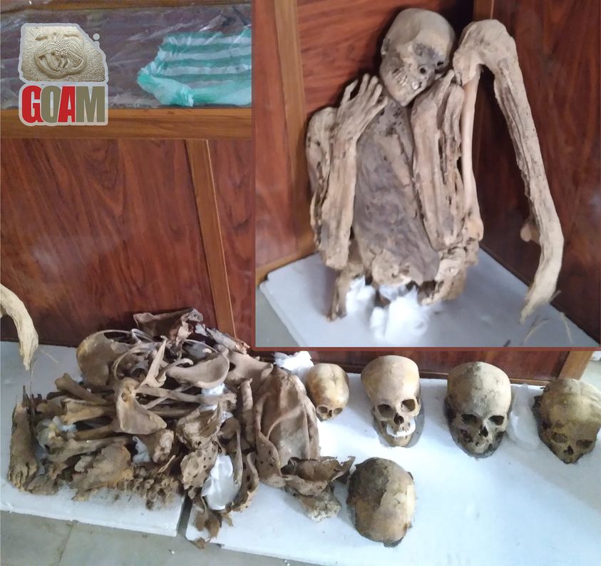 فريق آثار ينقل مومياء يمنيّة عثر عليها مواطنون إلى مركز المومياوات بالمحويت