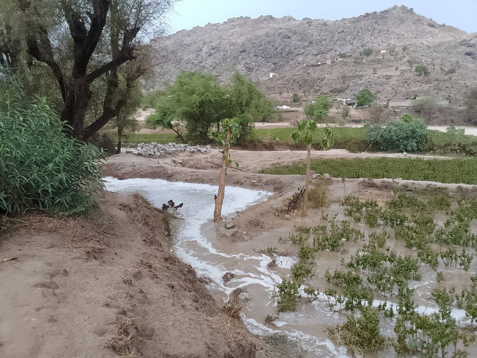 وفاة شخصين لتسع 8 حالات بحالات تكفي داخل حاجه شمالي اليمن وفاة شخصين لتسع 8 حالات بحالات تكفي داخل حاجه شمالي اليمن